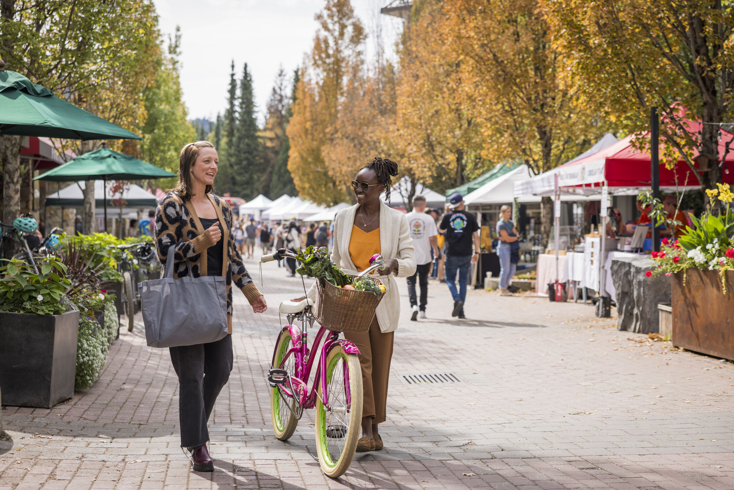 203372 PowerPoint 2400px