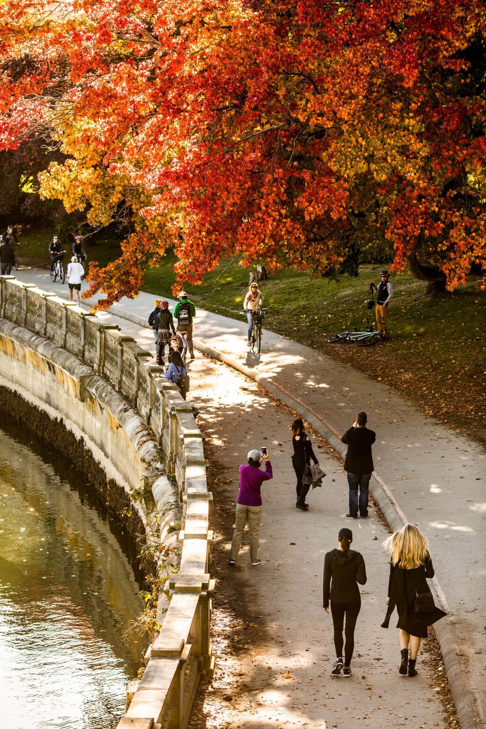 Vancouver Sightseeing Tours 85800 PowerPoint 2400px Scaled